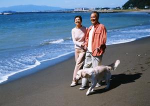 猫カフェで過ごすことでストレス発散