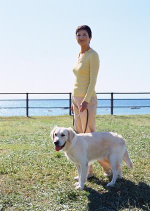 港区にあるペットホテルを活用する