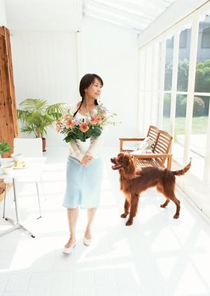 評判の高い豆柴を販売するペットショップ