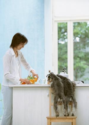 千葉県船橋市にあるのがこのペットホテル