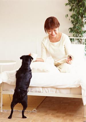 信頼と実績の土日祝日対応！アサンテのシロアリ駆除で安心安全な住環境を実現