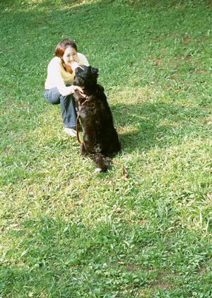 代官山で犬グッズを販売する店舗のオンラインショップ